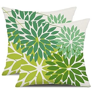 DFXSZ 168A Outdoor Dekokissenbezüge, 2 Stück