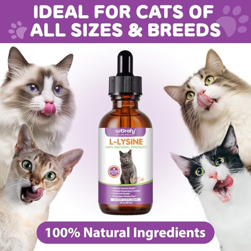 Gegen Katzenschnupfen - L-Lysin Tropfen für Katzen. Schnelle Linderung bei Allergien & Niesen. Stärkt die Abwehrkräfte mit Kolostrum & Taurin.