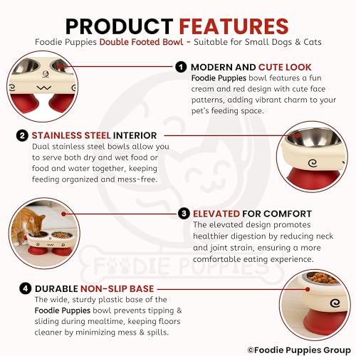 Image of Foodie Puppies Pet Elevated Cat Bowl - (Fun Face Double Bowl) | Detachable Stainless Steel Raised Feeder for Food & Water Feeding | Durable, Anti-Vomiting, Mess-Free Feeder for Cats, Kittens & Puppies
