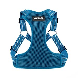 Best Pet Supplies Voyager Adjustable Dog Harness with Reflective Stripes for Walking, Jogging, Heavy-Duty Full Body No Pull Vest with Leash D-Ring, Breathable All-Weather – Harness (Turquoise), S