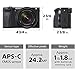 Sony Alpha A6600 Mirrorless Camera with 18-135mm Zoom Lens