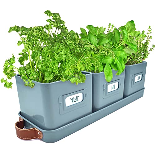 Top 10 Best Indoor Herb Garden Planter Reviews & Buying Guide Katynel