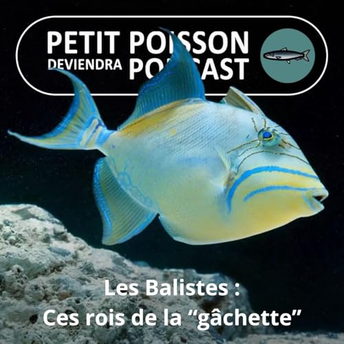 『BEST OF D'ÉTÉ #23 : Les Balistes : Les rois de la "gâchette"』のカバーアート