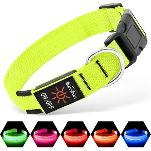 Illumifun Leuchthalsband Hund, USB LED Hundehalsband, Wiederaufladbar Hundehalsband Leuchtend für Hunde Einstellbare Größe, 3...