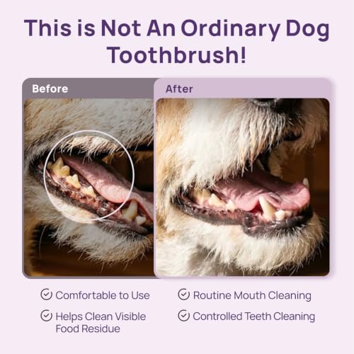 Image of HICC PET Toothbrush for Cats & Small Dogs,Ergonomic Pet Toothbrush for Easy Teeth Cleaning,Gentle on Gums, Cat & Dog Oral Care - Toothpaste Not Included