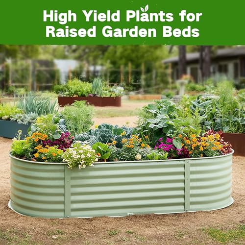Lush&Dew Raised Garden Bed Heirloom Seed Bank, 32 Type 30000+ Non-GMO Seeds - Image 3