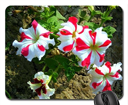 ToLuL Hermosa Primavera de Lahore Mouse Pad, Mousepad (Flowers Mouse Pad)