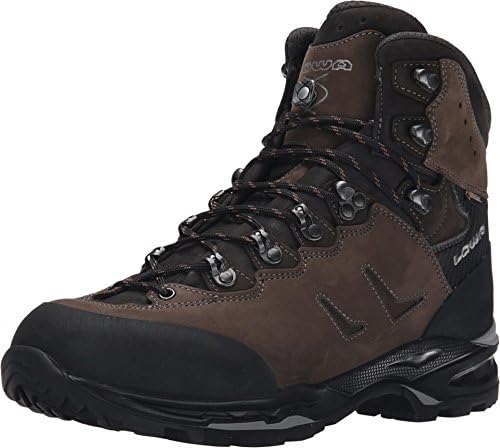 Camino GTX FreeFlex Hiking Boot 