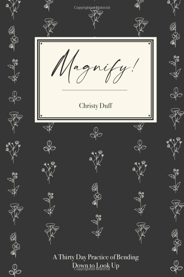 Magnify!: A Thirty Day Practice of Bending Down to Look Up Paperback