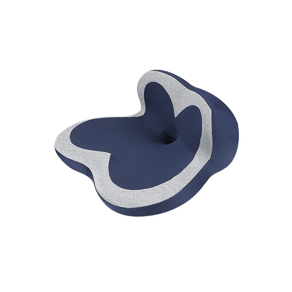 Coussin lombaire longue durée bleu pétale et assise ergonomique mousse mémoire