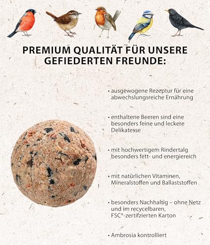 Dehner Natura Premium Meisenknödel ohne Netz, Beerenknödel, ganzjähriges Wildvogelfutter proteinreich / energiereich, 100 Stück je 90 g (9 kg), Karton aus FSC-zertifizierter Produktion