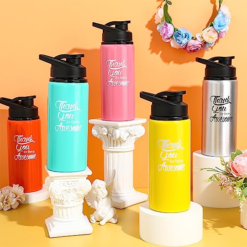 Tanlade 24 Pack Staff Employee Appreciation Gifts 20oz Aluminum Water Bottle Bulk Housekeeper Appreciation Thank You for Being Awesome Bottle with Snap Lid Thank You Gift for Coworker(Multicolor) - Image 7