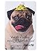American Greetings Doug the Pug Birthday Card with Foil