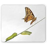 Weiche Materialien: Natürliche Gummibasis mit Polyesteroberfläche.Einfache Reinigung und Wartung.