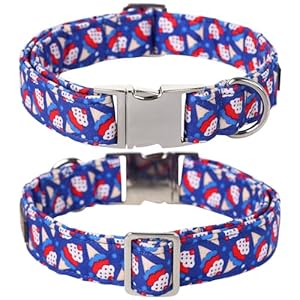 Lionet Paws Design Dogs Collar Cute Flower 4th of July Dog Collars for Girl Female Medium Large Dogs with Sundae L