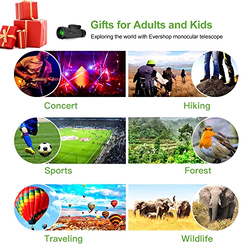 Monocular Telescope With Low Night Vision For Adults Kids,12X50 High Power Mini Zoom Monoculars With Smartphone/Iphone Adapter Tripod,Gifts For Bird Watching Hunting Camping Traveling Star Sports #TOP5
