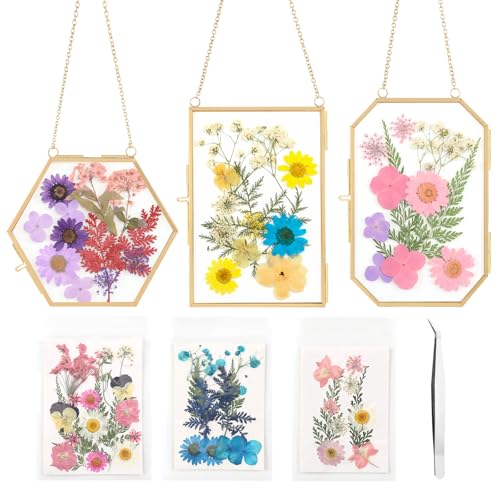 Lujechii 3 Pcs Double Glass for Pressed Flowers,Clear Brass Embossed Frame with Dried Flowers and Tweezers,Can Be Used for Dried Flower Plant Photo Postcards Wall Mounted Glass Pressed Flower Frame