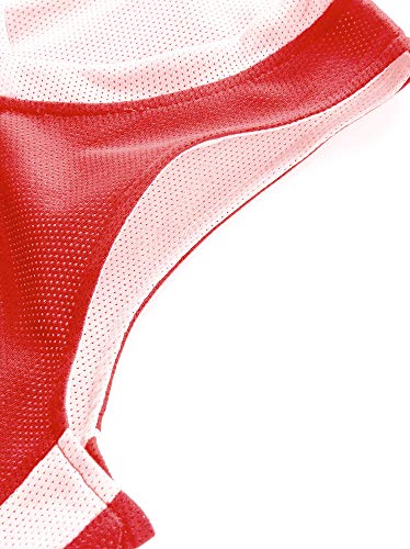 Liberty Imports 10 Pack - Reversible Men's Mesh Performance Athletic Basketball Jerseys - Adult Team Sports Bulk (Red/White) #TOP4