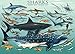 EuroGraphics Sharks 1000 Piece Puzzle , Blue