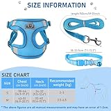 FINEASY Hundegeschirr mit Leine, Reflektierend, Hundegeschirr Kleine Hunde, Sicherheitsgeschirr Hund Ausbruchsicher, Brustgeschirr Hund, Geschirr für Haustiere, Katzen, Klein, Welpen (Blau, S)