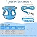 FINEASY Hundegeschirr mit Leine, Reflektierend, Hundegeschirr Kleine Hunde, Sicherheitsgeschirr Hund Ausbruchsicher, Brustgeschirr Hund, Geschirr für Haustiere, Katzen, Klein, Welpen (Blau, S)