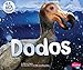 Dodos (Ice Age Animals)