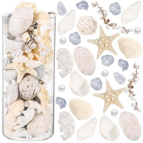 Wenqik Summer Seashell Bow Vase Filler Seashell Wreath Making Mixed Seashells Assorted Frosted Sea Glass Block Conch Starfish Dried Flower for Home Bedroom Summer Beach Party Decor(Classic)