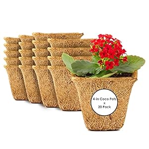 Envelor Coco Coir Plant Pots Seed Starter Tray Biodegradable Seed Starter Pots Coco Peat Pots Seedling Cups Small Plant Pots Germination Nursery Planting Tray Plant Starter Pots, 4 Inches 20 Pack