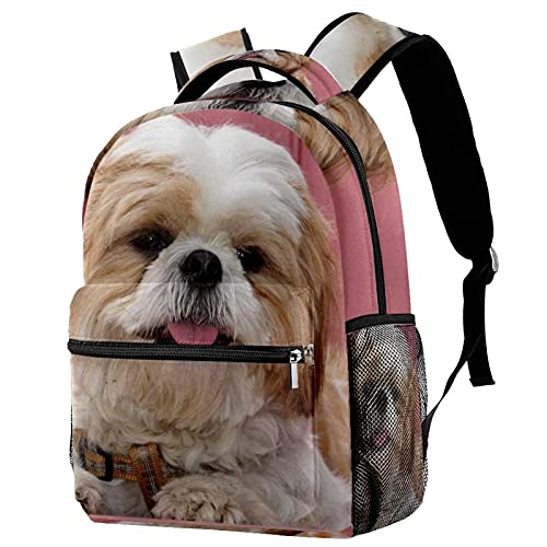 Sac à dos voyage Shih Tzu pour de longues promenades en ville et nature