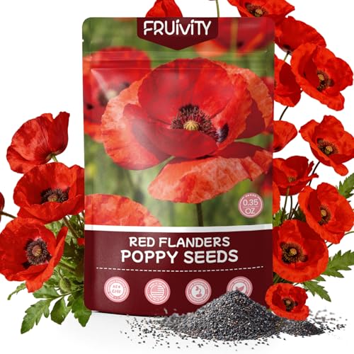Fruivity Red Poppy Seeds (0.35oz - 10 000+ Seeds) - American Legion Flanders Poppy - Papaver rhoeas - Annual Wildflower for Memorial Garden Veterans Tribute Pollinator Habitat