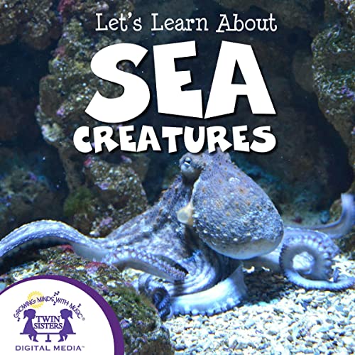 Let's Learn About Sea Creatures by Kim Mitzo Thompson, Karen Mitzo Hilderbrand episode artwork