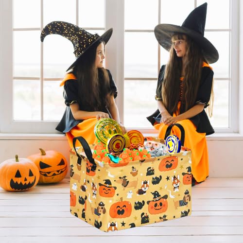 Image of Halloween Pumpkin Ghost Storage Basket, Black Cat Spider Gift Toy Organizer
