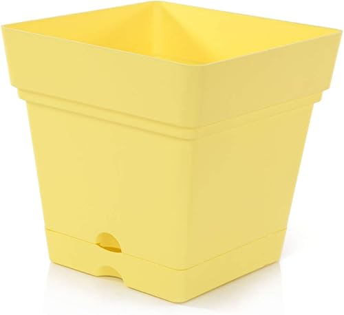 Miniatura 17 de Mintra - Macetas de plástico para plantas, maceta cuadrada para plantas de interior y exterior, macetas de jardín con platillos y agujeros de verde