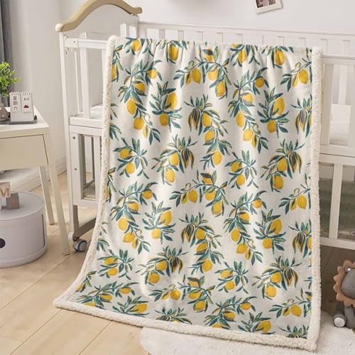 Janntinn �ѕz �{�A ���� �~�p �Ђ��|�� �|���z�c �ӂ�ӂ� �c�� �ʕ� ������ �x�[�W���o 150×200cm �ۉ� �g���� �_�炩�����G�� �y�� �􂦂� ������� �ƒ�p �\�t�@�[ �x�b�h �I�t�B�X�p �u�����P�b�g