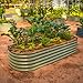 Vego garden Raised Garden Bed Kits, 17