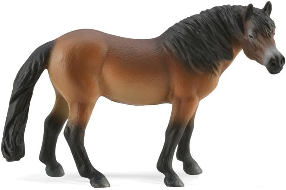 COLLECTA Exmoor Pony Stallion