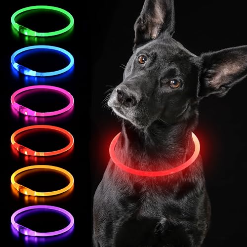 iTayga Collier Chien Lumineux, Collier LED pour Chien Rechargeable USB, Peut être coupé à n'importe Quelle Taille, Collier pour Chiens de sécurité pour Petits, Moyens et Grands Chiens (Rouge)