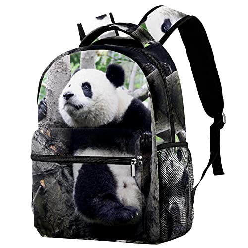 Sac à dos panda mignon, le cadeau idéal pour transporter les livres d'école