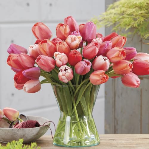 Flower Bulbs Worth Planting for a Standout Garden