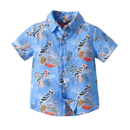 Kids Boys' Button Down Shirts Short Sleeve Collared Shirt Holiday Beach Aloha Shirt Top Toddler Baby Summer Clothes