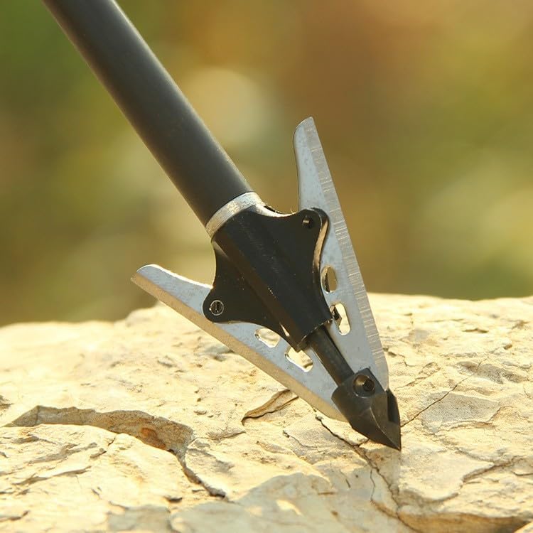 10pcs Archery 2 Extensible Blade Broadhead Arrow Head Tips Points Archery Recurve Compound Crossbow Hunting Accessory