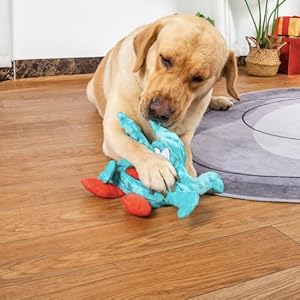 Dog-Toy-Funny-Pet-Squeaky-Toy-for-Small-Medium-Large-Dogs-Interactive-Dog-Toys-Crinkly-Plush-Dog-Toy-Durable-Dog-Toy-for-Teeth-Cleaning-Puppy-Teething-Toy-Birthday-Gifts - Cucciolini Doodles   Dog-Toy-Funny-Pet-Squeaky-Toy-for-Small-Medium-Large-Dogs-Interactive-Dog-Toys-Crinkly-Plush-Dog-Toy-Durable-Dog-Toy-for-Teeth-Cleaning-Puppy-Teething-Toy-Birthday-Gifts