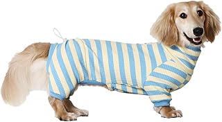 Dachshund Dog Shirt, Thin Striped Base Layer Onesie for Wiener Dogs, Lightweight All-Season Wear,