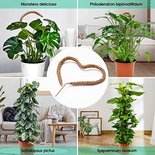 Bendable Moss Pole, 63” Moss Pole For Plants Monstera, Bendable Diy Plant Sticks Support Plant Stakes For Indoor Plants, Monstera Moss Pole For Climbing Plants Growth #TOP5