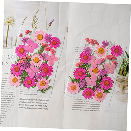 Cabilock 50 Pçs Pacote De Material De Flores Secas Flores Secas Para Nail Art Suprimentos De Unhas A