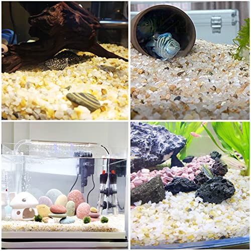 Coarse Silica Sand, Natural Horticultural Grit Coarse Sand Stone, Succulent Cactus Carnivorous Plant Mix Pumice Soil Cover, Top Dressing Sand for Cacti Potted Plants Terrarium Aquariums Vase, 2lb