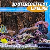 Toddmomy Box Backdrop 3d Background Board for Tank Fish Aquarium Backgrounds 3d Fish Tank Background Aquarium Decorative Board Landscape Photography Board Aquarium Background Board - Image 8