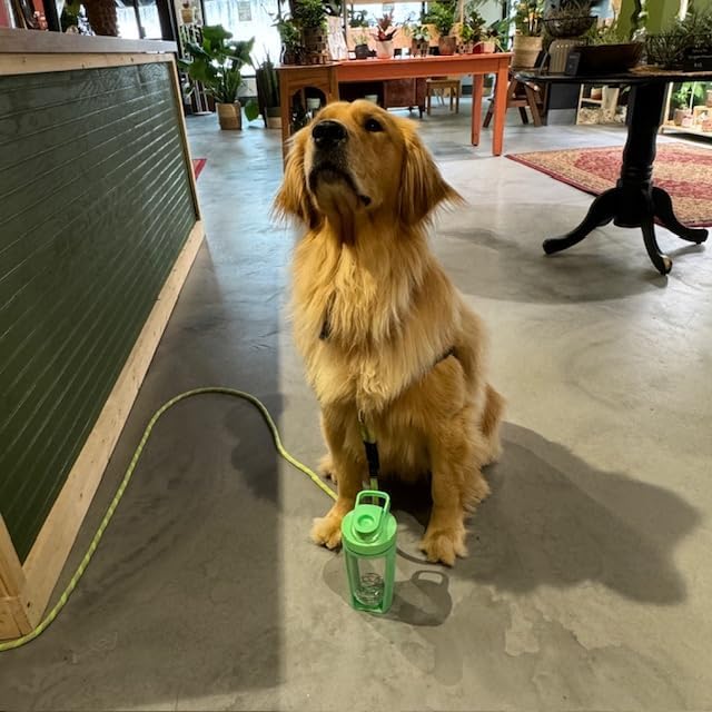 Miniatura 6 de Moonlight Makers Juego de 3 botellas mezcladoras de proteínas de 16 onzas con bola batidora de acero, botella de gimnasio a prueba de fugas, tazas