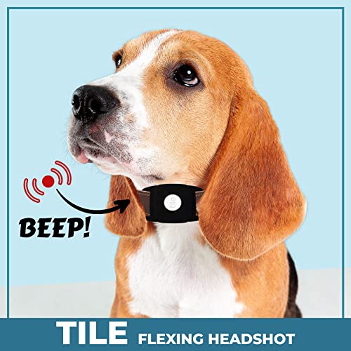 Tile Mate (2022), And Pet Collar Cambo, Bluetooth Tracker, Locator; Up To 250 Ft. Range. Up To 3 Year Battery. Water-Resistant. Ios And Android Compatible. With A Silicone Pet Collar Necklace, Pink #TOP4