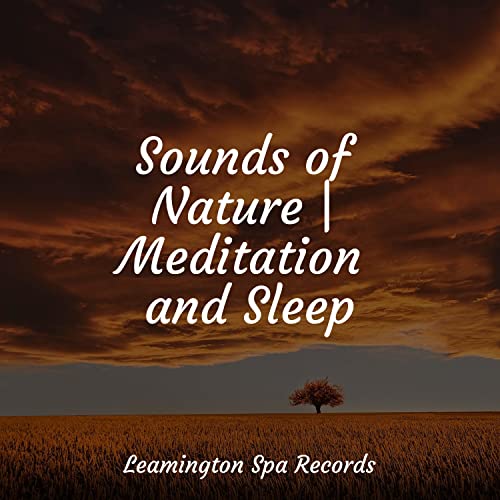 Sounds of Nature | Meditation and Sleep di Pet Care Music Therapy, Pro ...